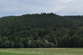  (© Michal Brůža, 07/2011)
