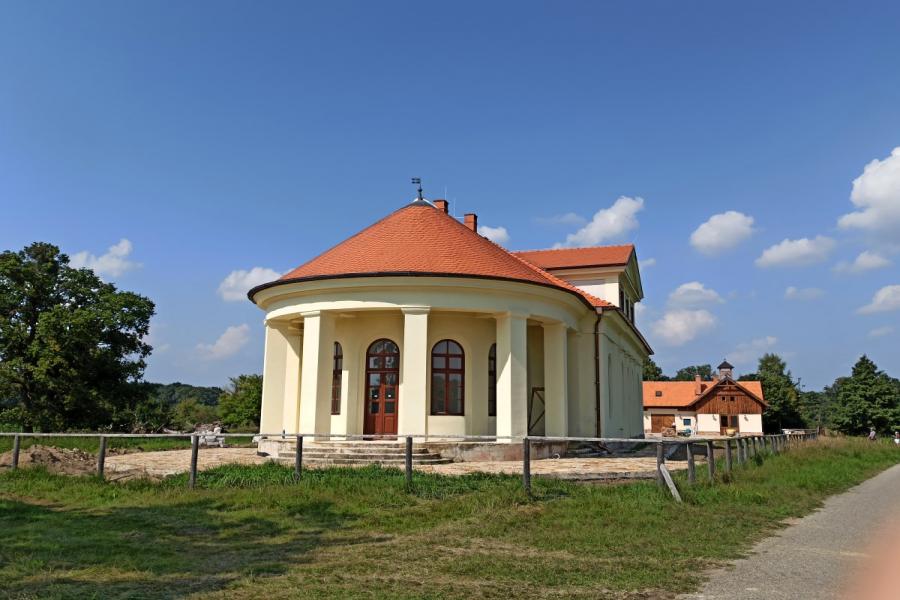 Lány