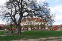 Rochlov