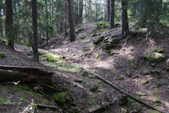 Příkop a vlastní areál hrádku (vpravo) ( © Filip Matoušek 08/2002)