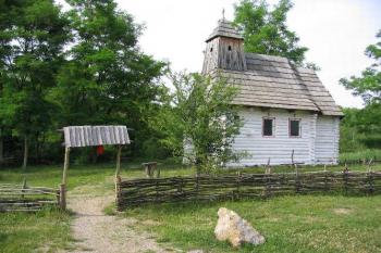 Řepora (© Petr Benda 06/2005)