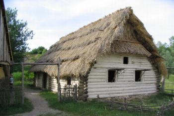 Řepora (© Petr Benda 06/2005)