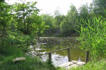 Ř (© Petr Benda 06/2005)