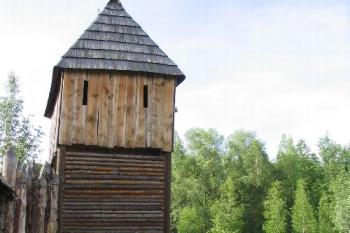 Řepora (© Petr Benda 06/2005)