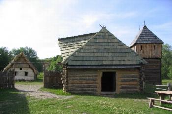Řepora (© Petr Benda 06/2005)