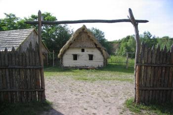 Řepora (© Petr Benda 06/2005)