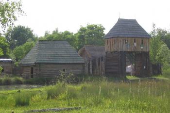 Řepora (© Petr Benda 06/2005)