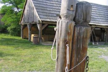 Řepora (© Petr Benda 06/2005)