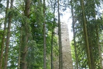 Volfštejn-zřícenina hradu (© Vlastislav Mareček, 06/2016)