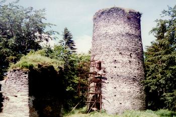Zřícenina hradu Volfštejn u Černošína (© Pavel Vítek 09/2010)