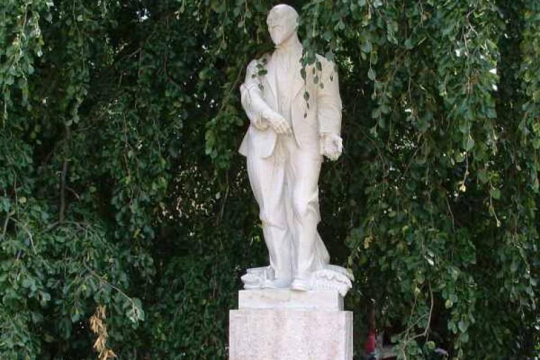 socha MUDr. Františka Veselého