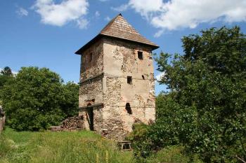 Zbytky tvrze ( © Luděk Pitter 07/2005)