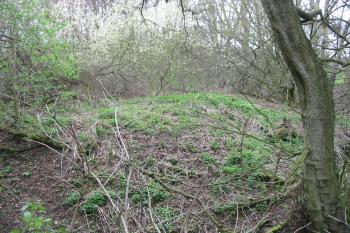 střed tvrziště (© D Dohňanský, 04/2016)