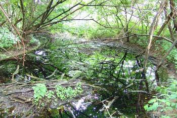 Zaoblení příkopu na východní straně ( © Roman Řezáč 07/2005)