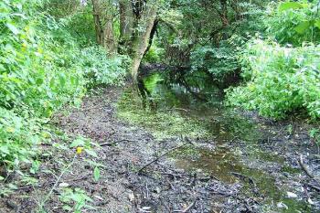 Příkop na severovýchodní straně ( © Roman Řezáč 07/2005)