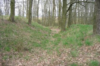 východní příkop.vpravo téměř setřelý vnější val,vlevo vysoký vnitřní val (© D Dohňanský, 04/2016)