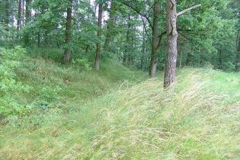Zachovaný příkop na jihovýchodní straně ( © Roman Řezáč 07/2005)
