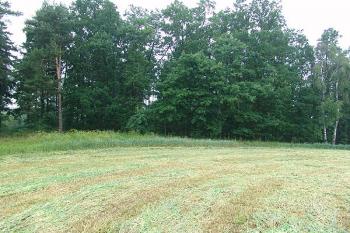 Pohled od jihovýchodu z navazujícího pole na místo opevnění ( © Roman Řezáč 07/2005)