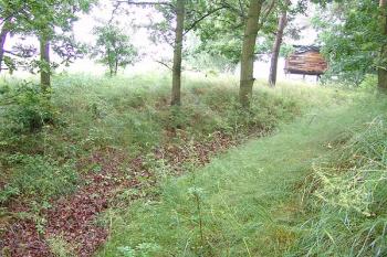 Zachovaný příkop na jihovýchodní straně ( © Roman Řezáč 07/2005)
