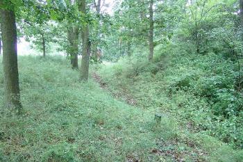 Příkop na východní straně ( © Roman Řezáč 07/2005)