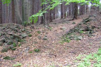 jedna z branek severní ohrady ( © Jan P. Štěpánek 07/2005)
