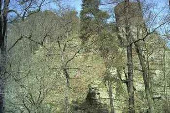 Od řeky (2003 ©Vojtěch Kaplan)