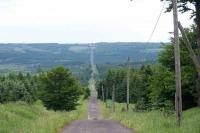 Lichtenwald