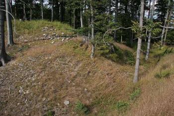 Příkop ( © Luděk Pitter 07/2005)