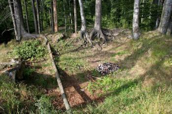 Plošina na pahorku ( © Luděk Pitter 07/2005)