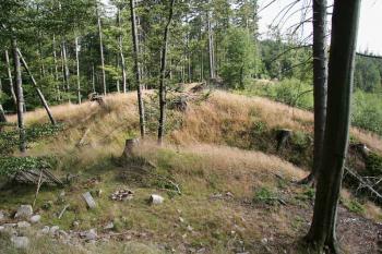 Příkop a val ( © Luděk Pitter 07/2005)
