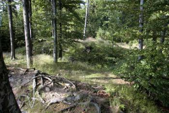 Příkop a val ( © Luděk Pitter 07/2005)