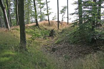 Příkop a val ( © Luděk Pitter 07/2005)