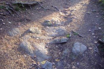 úvozová středověká cesta k hradu, lze rozpoznat vyježděné koleje od povozů a osekané kusy skal (© Miroslav Šamal, 09/2008)
