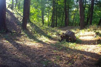 1. hradní příkop (© Miroslav Šamal, 09/2008)