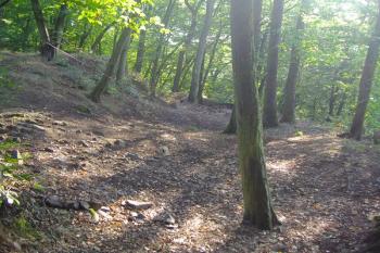 pohled na místo původní zástavby předhradí (© Miroslav Šamal, 10/2008)