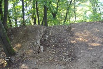 1. ze dvou arch. sond ze srpna 2008 (dnes již plně srovnaná s okolním terénem) (© Miroslav Šamal, 10/2008)