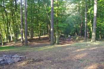 Pohled od hrany druhého hradního příkopu na terén předhradí (© Miroslav Šamal, 10/2008)