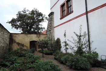 Zámek Nový Hrad - malá zahrádka s bylinkami (© aleshwarrior, 10/2016)