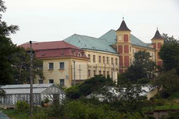  (© fotohad.cz, 08/2008)