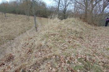 Jediná zbylá hrázka v jádře svědčící o obvodové ohradě (© Dušan Dohňanský 02/2021)