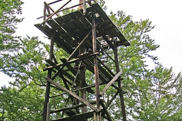Třemšín