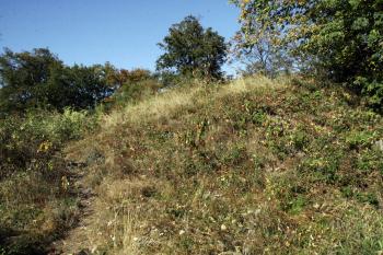 Příkop mezi předmostím a předhradím ( © Iva Spurná 26.9.2009)