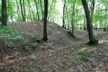 Severozápadní nároží jádra - val s příkopem ( © Filip Matoušek 07/2005)