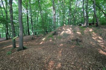 Opevnění jádra od západu ( © Filip Matoušek 07/2005)