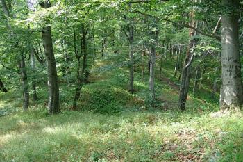 Pohled od věže přes příkop přístupovou šíji ( © Roman Řezáč 07/2005)