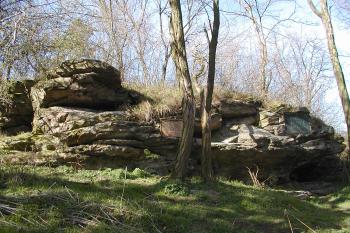  (© Alena Volná, 4/2007)