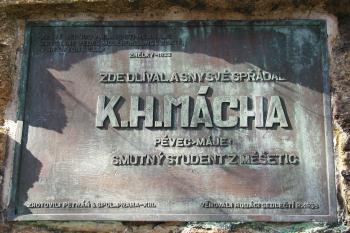  (© Alena Volná, 4/2007)