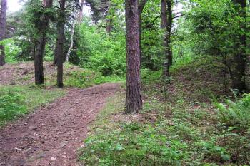 Vstupní brána ( © Petr Vaculčík 05/2006)