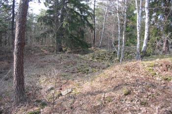  ( © Jiří Čížek 04/2004)