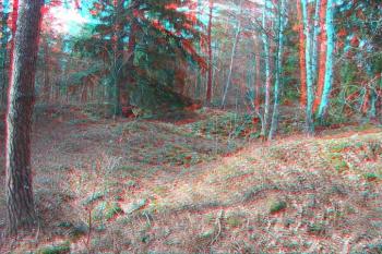  ( © Jiří Čížek 04/2004)